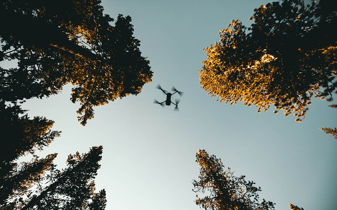 drone in the air